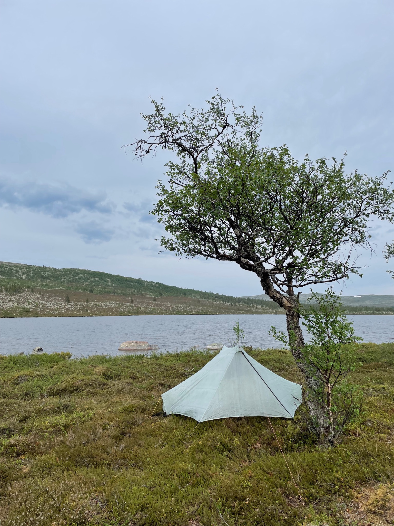 Tarptent StratoSpire Li ダイニーマ DCF ULテント